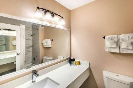 Quality Inn & Suites - 47