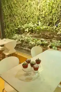 CasaCalma - 23