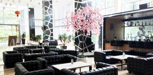 Symphony Suites - 1