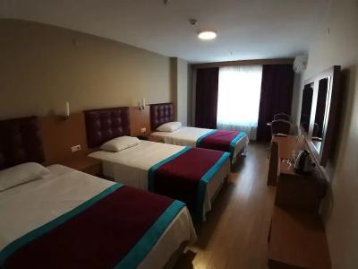 Bursa şahin - 3