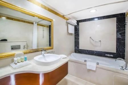 Holiday Inn Bur Dubai - Embassy District - 25