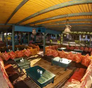 Shams & Dive Centre - 8