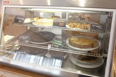 Solheimar Eco-Village - 13