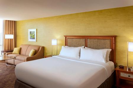 Holiday Inn Austin -Town Lake, An Ihg - 2