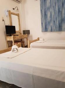 Amazones Village Suites - 38