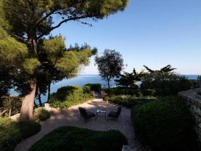 Il Pellicano - 205