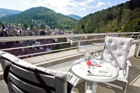 Schwarzwald Panorama - 70