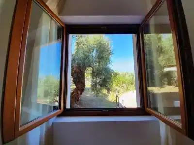 Delle More - 35