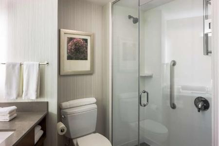 Hilton Garden Inn Long Island City - 49