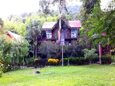 Tree Tops River Huts - 20