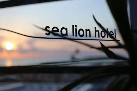 Sea Lion - 27