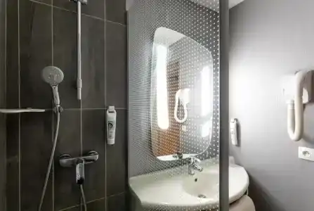 ibis Bourges Centre - 45