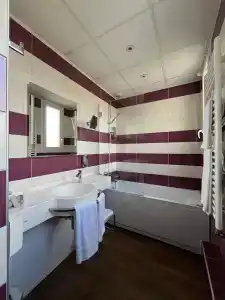 The Originals City - Hôtel Le Saint-Martial, Limoges Centre - 79