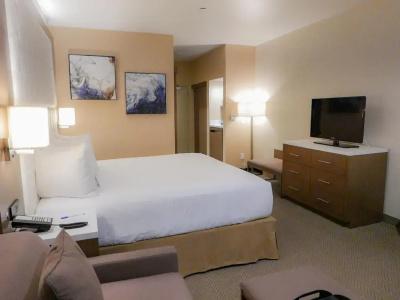 Wyndham Anaheim - 18