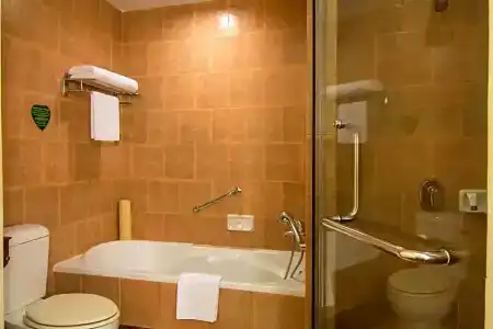 Angkor Palace Resort & Spa - 165