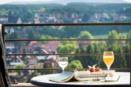 Ahorn Harz Braunlage - 23