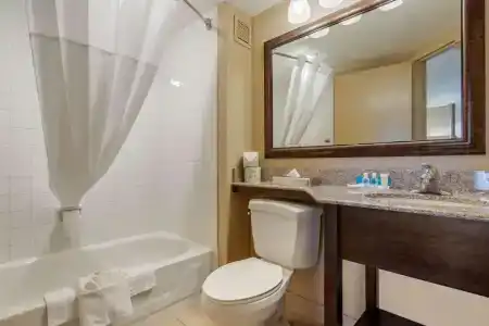 Comfort Inn 290/Nw - 40