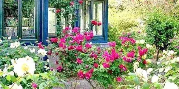 La Gallina Felice b&b - 16