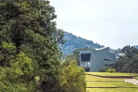 The Sifang Nanjing, Autograph Collection - 151