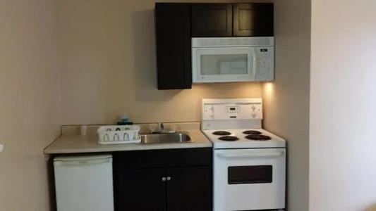 Falcon Inn - 120