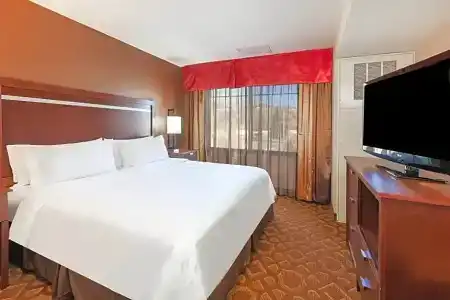 Holiday Inn & Suites Downtown, an IHG - 88