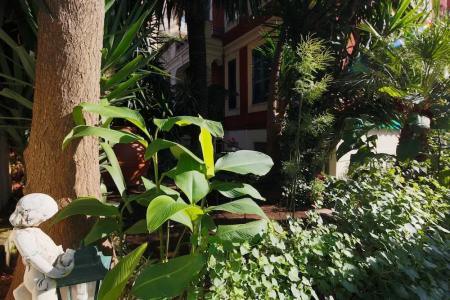 Il Tempio di Morfeo - 18