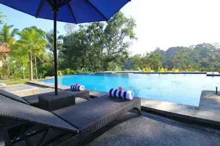 Capung Mas - 8