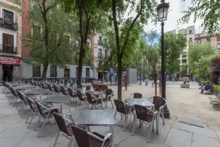 Flat5Madrid - 19
