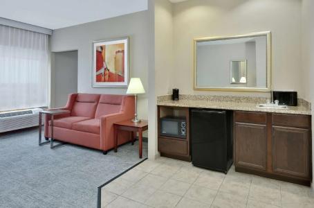 Hampton Inn & Suites I-20 - 81