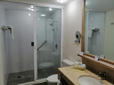 Holiday Inn Express Mexico Reforma - 73