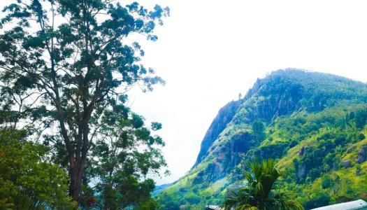 Madushanka - 33