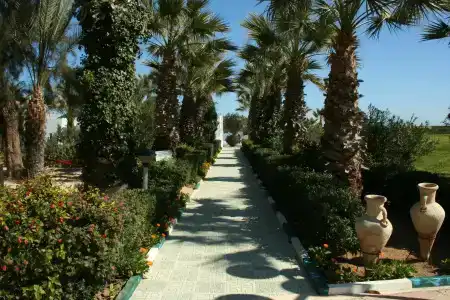 Marhaba Palace - 23