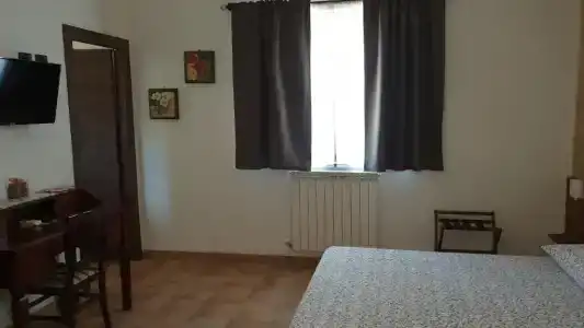 L'Antico Vigneto - 10