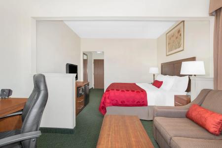 Ramada by Wyndham Denver International Airport - 5