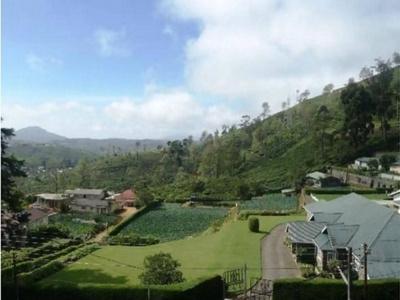 Heaven Seven Nuwara Eliya - 16