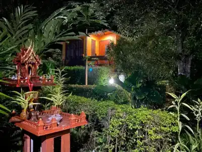 Pura Vida - 26