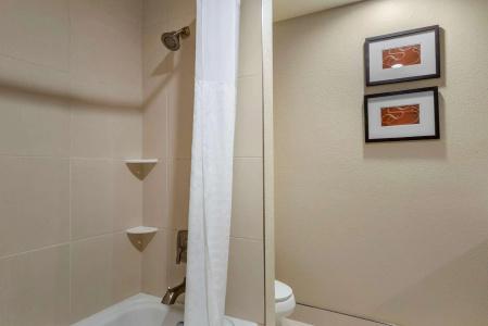 Comfort Suites - University - 8