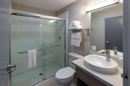 Microtel Inn and Suites by Wyndham / Shreveport - 47