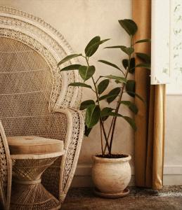 Shila Athens - 64