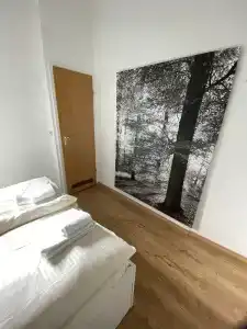 BergHahnenklee - 60