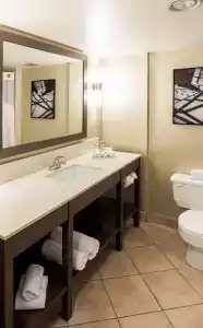 Holiday Inn Express Vancouver-Metrotown (Burnaby) - 54