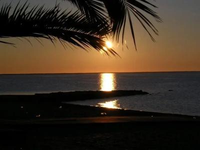 Neptuno - 21
