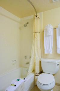 Castle Inn and Suites Anaheim - 9