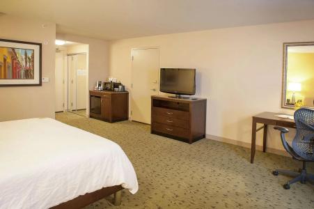 Hilton Garden Inn Airport/Medical Center - 3