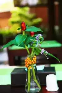 Tropicana Resort Phu Quoc - 41
