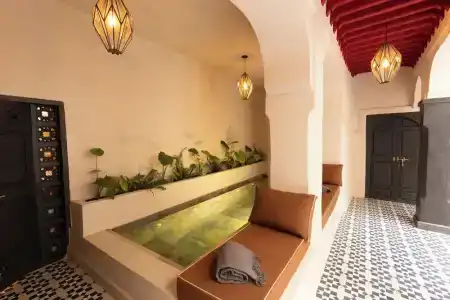 Riad Alghani - 2