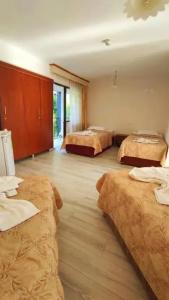 Artemis Yörük Otel - 29