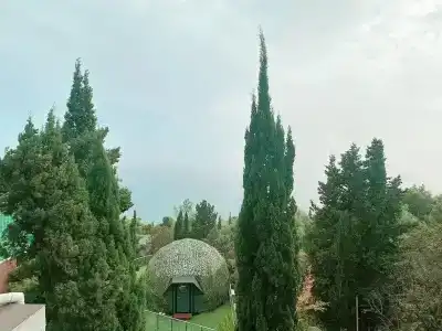 Милана, Алёна, Варвара, Елена - 35