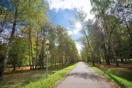 Звенигородский - 7