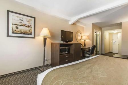 Comfort Suites Downtown - 41